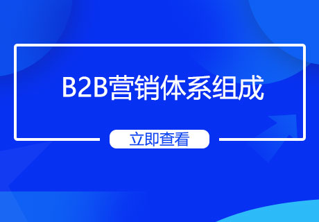 B2B销售组织架构设计.jpg