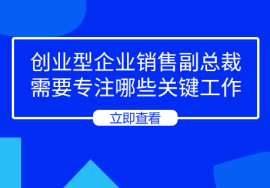 创业型企业销售副总裁需要专注哪些关键工作?带领团队杀出重围！