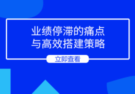 创业公司销售体系混乱：业绩停滞的痛点与高效搭建策略