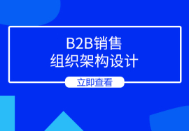 B2B销售组织架构设计